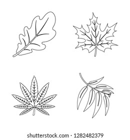 Isolated object of vegan and organic icon. Set of vegan and fresh stock symbol for web.