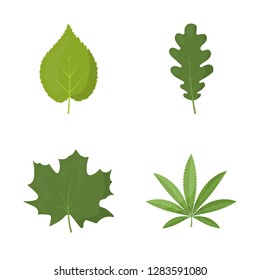 Isolated object of vegan and organic logo. Collection of vegan and fresh stock symbol for web.
