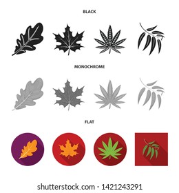 Isolated object of vegan and organic sign. Set of vegan and fresh stock vector illustration.