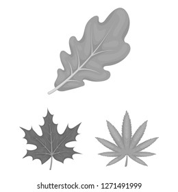 Isolated object of vegan and organic symbol. Collection of vegan and fresh stock symbol for web.
