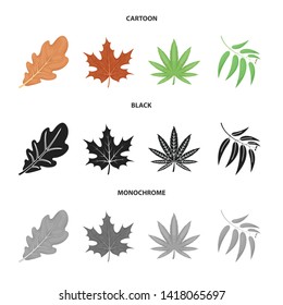 Isolated object of vegan and organic symbol. Collection of vegan and fresh stock symbol for web.