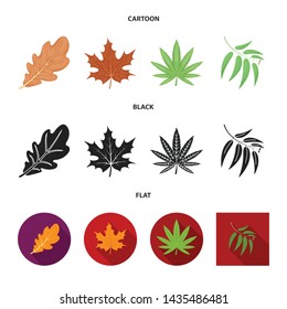 Isolated object of vegan and organic symbol. Collection of vegan and fresh vector icon for stock.