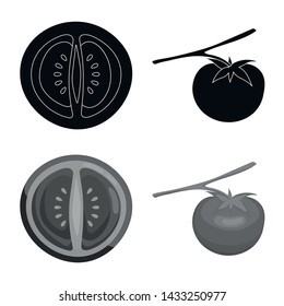 Isolated object of vegetable and delicious sign. Collection of vegetable and natural stock symbol for web.