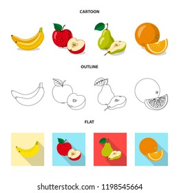 Isolated object of vegetable and fruit icon. Collection of vegetable and vegetarian stock vector illustration.