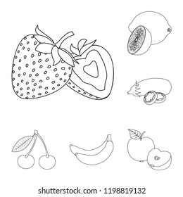 Isolated object of vegetable and fruit icon. Collection of vegetable and vegetarian vector icon for stock.