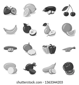 Isolated object of vegetable and fruit icon. Set of vegetable and vegetarian stock symbol for web.