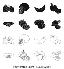 Isolated object of vegetable and fruit symbol. Collection of vegetable and vegetarian stock vector illustration.