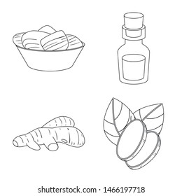 Isolated object of vegetable and natural icon. Set of vegetable and ingredient stock vector illustration.