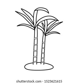 Isolated object of vegetable and sugar symbol. Graphic of vegetable and cane stock vector illustration.