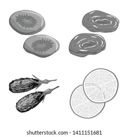 Isolated object of vitamin  and nature  logo. Collection of vitamin  and dried  stock symbol for web.