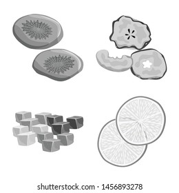 Isolated object of vitamin and nature sign. Set of vitamin and dried vector icon for stock.
