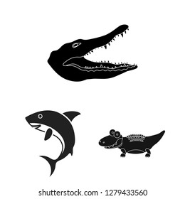 Isolated object of water and drop symbol. Collection of water and splash vector icon for stock.