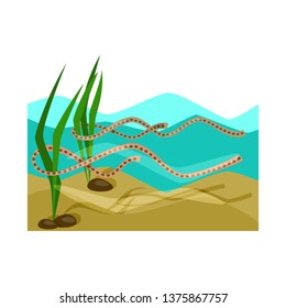 Isolated object of wetland and grass icon. Collection of wetland and ecology stock vector illustration.