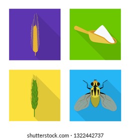 Isolated object of wheat and corn icon. Set of wheat and harvest stock vector illustration.
