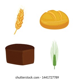 Isolated object of wheat and corn icon. Collection of wheat and harvest stock vector illustration.
