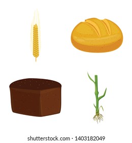 Isolated object of wheat and corn sign. Collection of wheat and harvest vector icon for stock.