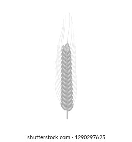 Isolated object of wheat and corn symbol. Set of wheat and harvest stock symbol for web.