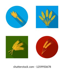 Isolated object of wheat and stalk icon. Collection of wheat and grain stock vector illustration.