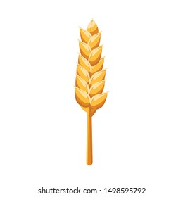 Isolated object of wheat and stalk logo. Collection of wheat and gold vector icon for stock.