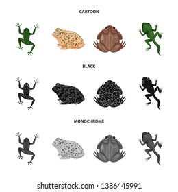 Isolated object of wildlife and bog icon. Set of wildlife and reptile vector icon for stock.