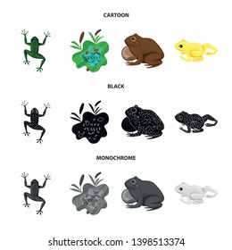 Isolated object of wildlife and bog icon. Collection of wildlife and reptile stock vector illustration.