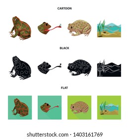 Isolated object of wildlife and bog icon. Set of wildlife and reptile vector icon for stock.