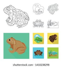 Isolated object of wildlife and bog icon. Set of wildlife and reptile stock vector illustration.
