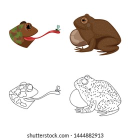 Isolated object of wildlife and bog icon. Set of wildlife and reptile stock symbol for web.