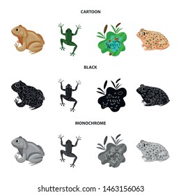 Isolated object of wildlife and bog icon. Collection of wildlife and reptile stock symbol for web.