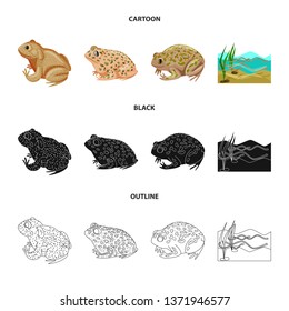 Isolated object of wildlife and bog logo. Set of wildlife and reptile vector icon for stock.