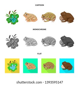 Isolated object of wildlife and bog logo. Set of wildlife and reptile stock symbol for web.