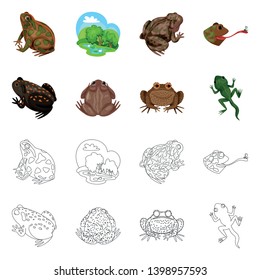 Isolated object of wildlife and bog logo. Collection of wildlife and reptile stock vector illustration.