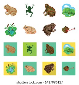 Isolated object of wildlife and bog logo. Collection of wildlife and reptile stock vector illustration.