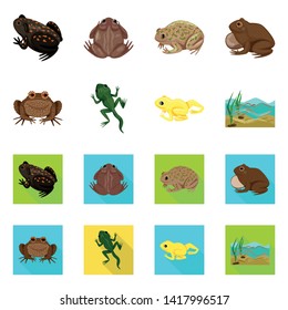 Isolated object of wildlife and bog logo. Collection of wildlife and reptile stock symbol for web.