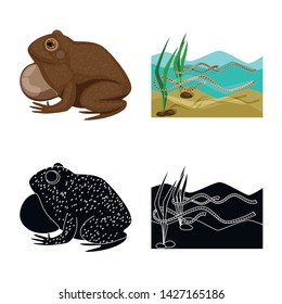 Isolated object of wildlife and bog logo. Set of wildlife and reptile vector icon for stock.