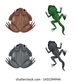 Isolated object of wildlife and bog logo. Set of wildlife and reptile vector icon for stock.