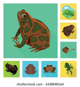 Isolated object of wildlife and bog logo. Collection of wildlife and reptile stock vector illustration.