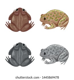 Isolated object of wildlife and bog logo. Collection of wildlife and reptile vector icon for stock.