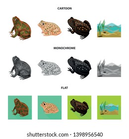 Isolated object of wildlife and bog symbol. Set of wildlife and reptile vector icon for stock.