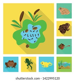 Isolated object of wildlife and bog symbol. Collection of wildlife and reptile stock vector illustration.
