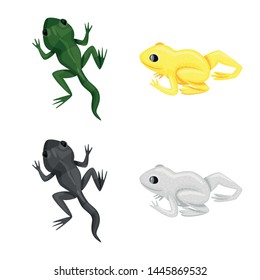Isolated object of wildlife and bog symbol. Collection of wildlife and reptile stock symbol for web.