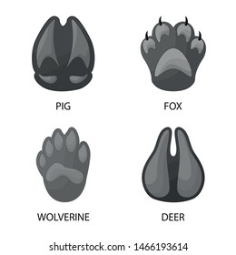 Isolated object of wildlife and trace logo. Set of wildlife and walk vector icon for stock.