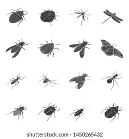 Isolated object of wings and wing icon. Collection of wings and fly stock vector illustration.