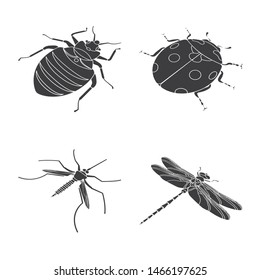 Isolated object of wings and wing logo. Collection of wings and fly stock vector illustration.