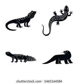 Isolated object of zoo and environment symbol. Collection of zoo and reptile vector icon for stock.