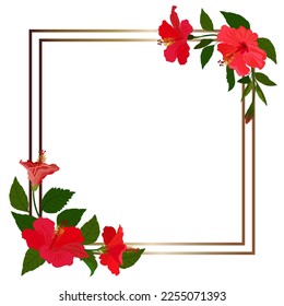Isolated object-78, vector, hand drawn. Hibiscus flowers, golden frame, white background.