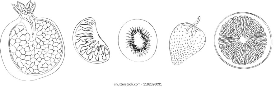 isolated objects-fruits. set of pomegranate, orange, Mandarin, kiwi and strawberry. painted fruit