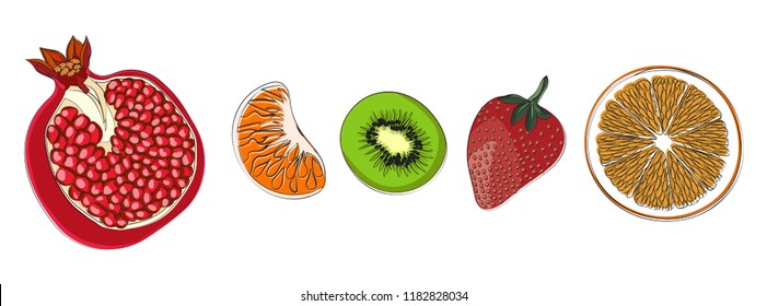 isolated objects-fruits. set of pomegranate, orange, Mandarin, kiwi and strawberry. painted fruit