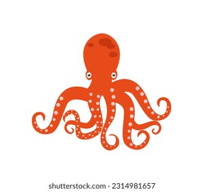 Isolated octopus on white background