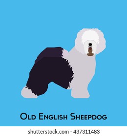 Isolated Old English Sheepdog On A Blue Background